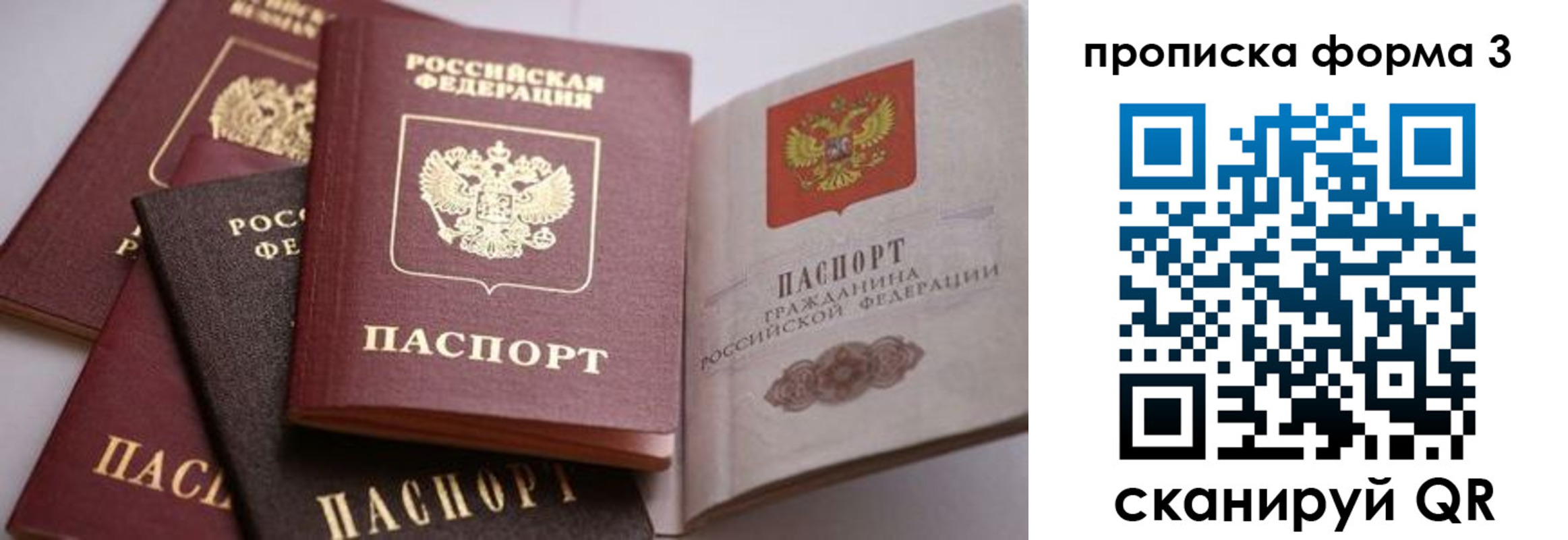 прописка для школы в Мурманске
